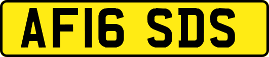 AF16SDS