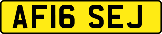 AF16SEJ