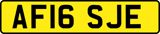 AF16SJE