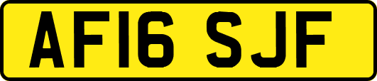 AF16SJF