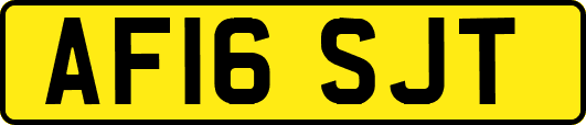 AF16SJT