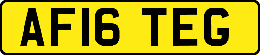 AF16TEG