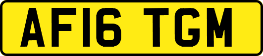 AF16TGM