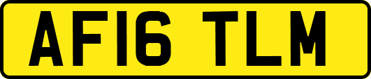 AF16TLM