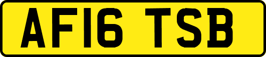 AF16TSB