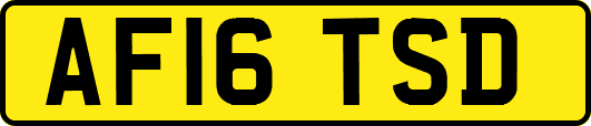 AF16TSD