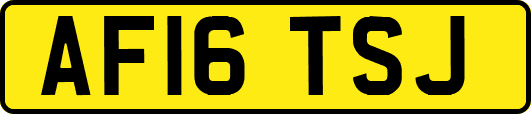 AF16TSJ