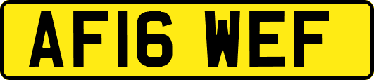 AF16WEF