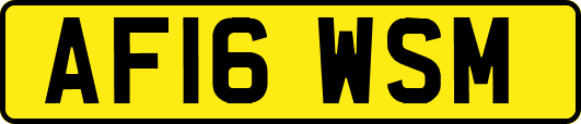 AF16WSM