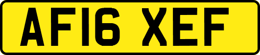 AF16XEF