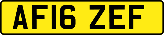 AF16ZEF