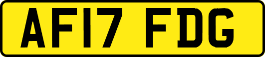 AF17FDG