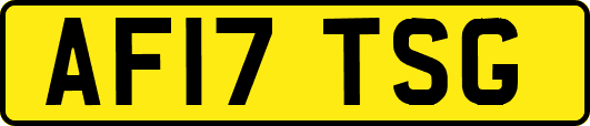 AF17TSG