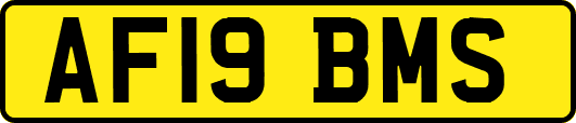 AF19BMS