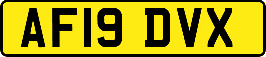 AF19DVX