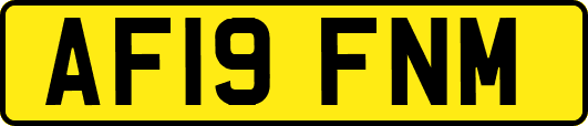 AF19FNM