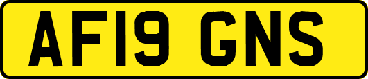 AF19GNS