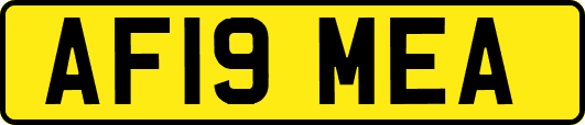 AF19MEA