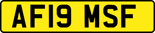AF19MSF