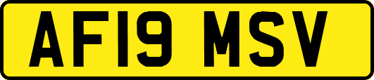 AF19MSV