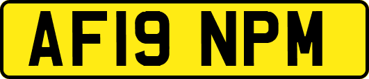 AF19NPM