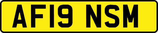 AF19NSM
