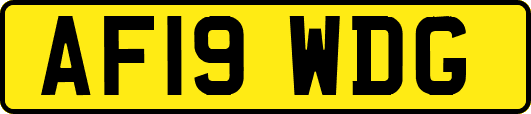 AF19WDG