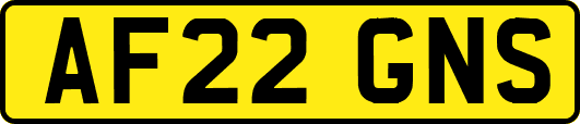 AF22GNS
