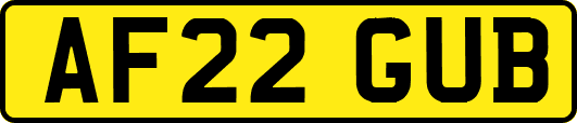 AF22GUB