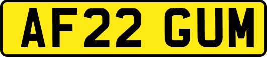 AF22GUM