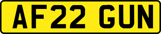 AF22GUN