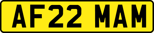 AF22MAM