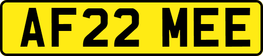 AF22MEE