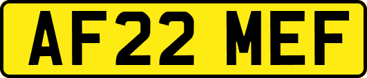AF22MEF