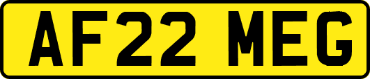 AF22MEG