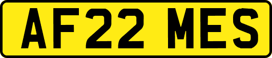 AF22MES