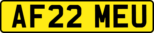 AF22MEU