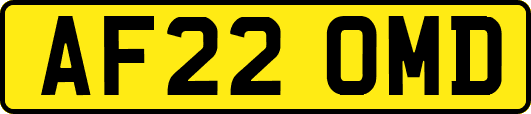 AF22OMD