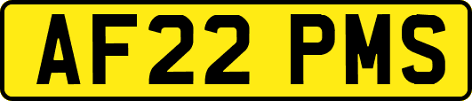AF22PMS