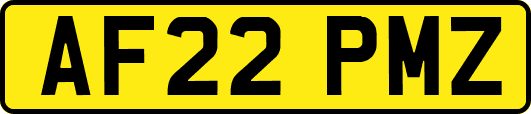 AF22PMZ
