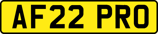 AF22PRO