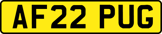 AF22PUG