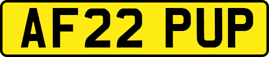 AF22PUP