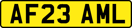 AF23AML