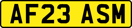 AF23ASM