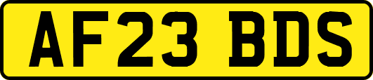 AF23BDS