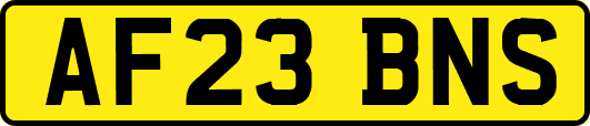 AF23BNS