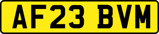 AF23BVM
