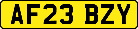 AF23BZY