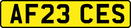 AF23CES